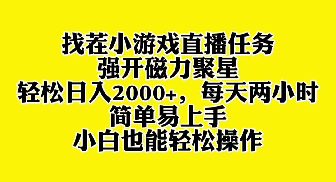 找茬小游戏直播，强开磁力聚星，轻松日入2000+，小白也能轻松上手-搜易资源网