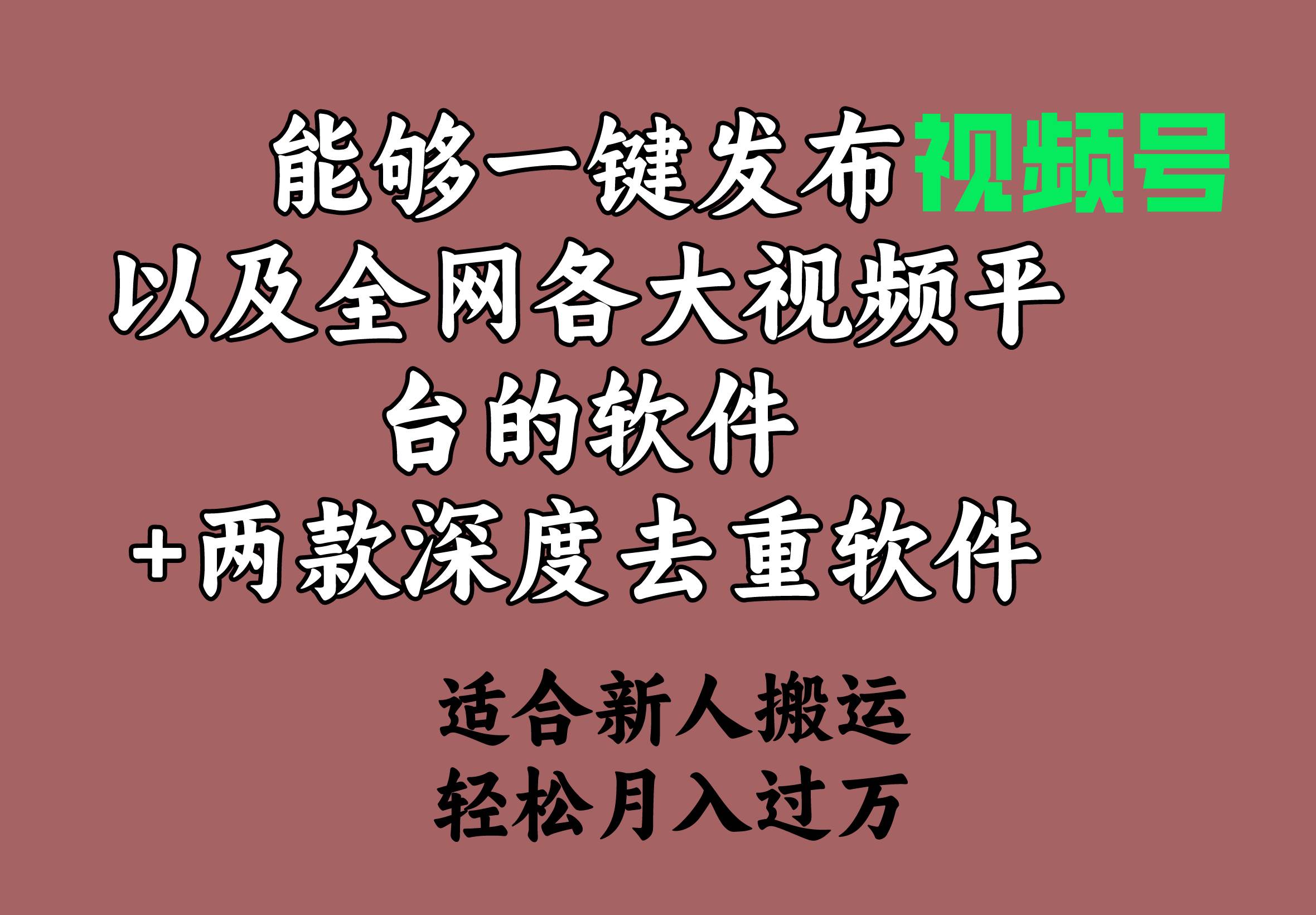 能够一键发布视频号以及全网各大视频平台的软件+两款深度去重软件 适合…-搜易资源网