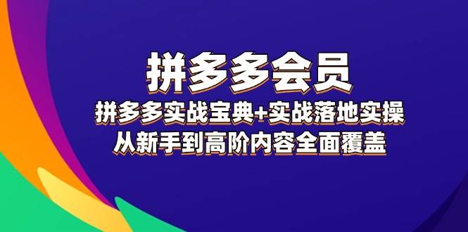 拼多多 会员，拼多多实战宝典+实战落地实操，从新手到高阶内容全面覆盖-搜易资源网