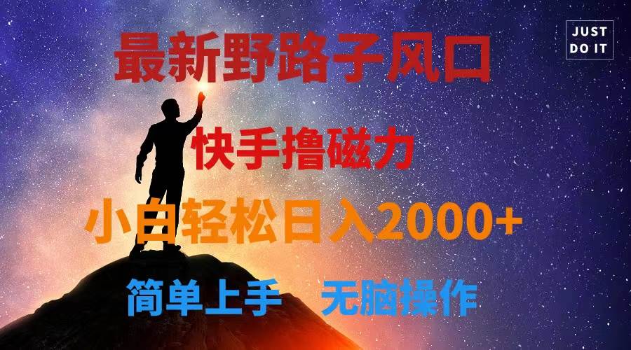 最新风口！快手撸磁力，野路子，小白无脑操作日入2000+-搜易资源网