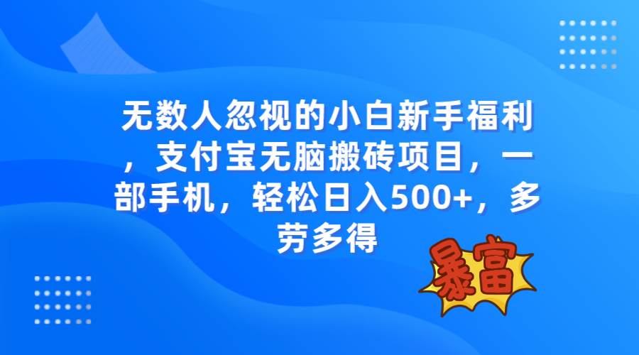 无数人忽视的项目，支付宝无脑搬砖项目，一部手机即可操作，轻松日入500+-搜易资源网
