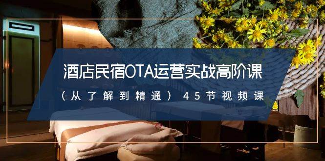 酒店民宿-OTA运营实战高阶课（从了解到精通）45节视频课-搜易资源网