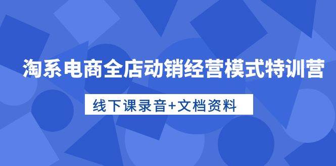 淘系电商全店动销经营模式特训营，线下课录音+文档资料-搜易资源网