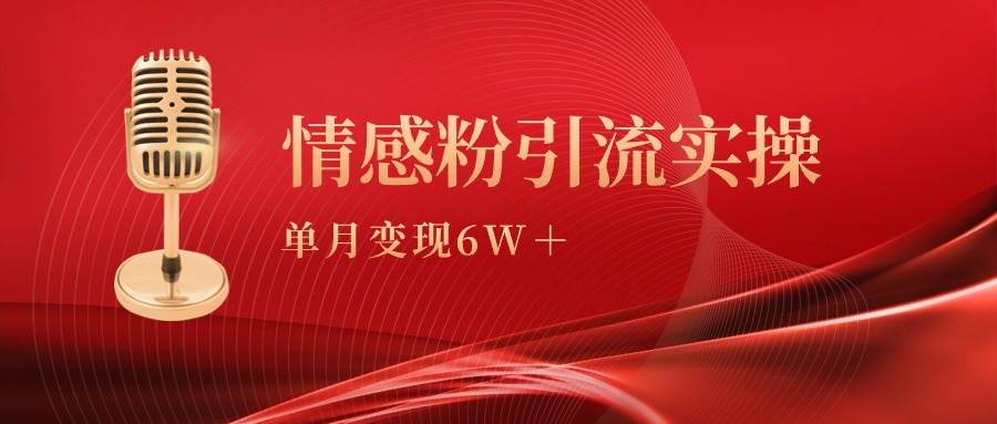 单月变现6w+，情感粉引流变现实操课-搜易资源网