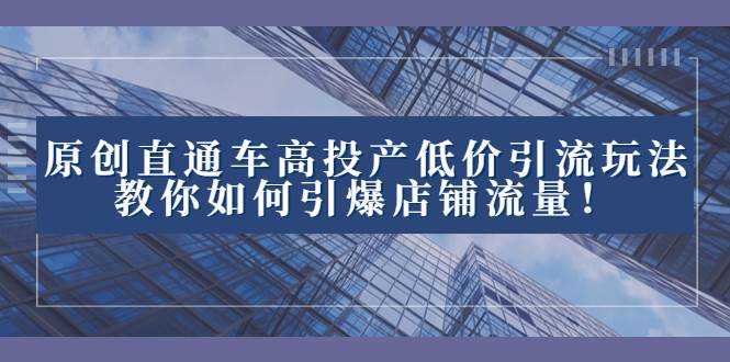 2023直通车高投产低价引流玩法，教你如何引爆店铺流量！-搜易资源网