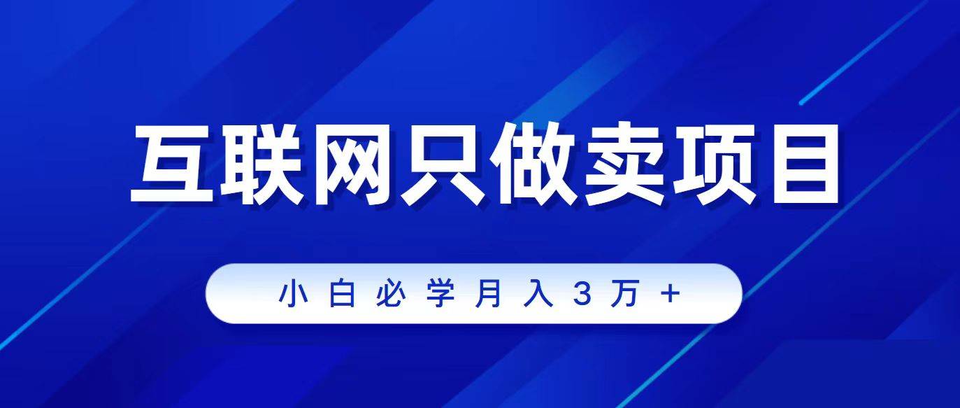 互联网的尽头就是卖项目，被割过韭菜的兄弟们必看！轻松月入三万以上！-搜易资源网