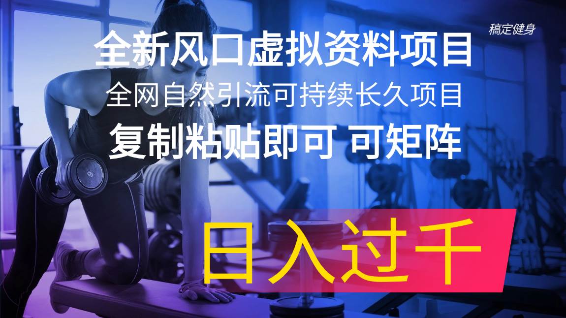 全新风口虚拟资料项目 全网自然引流可持续长久项目 复制粘贴即可可矩阵…-搜易资源网