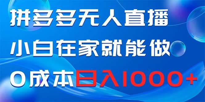 拼多多无人直播，小白在家就能做，0成本日入1000+-搜易资源网
