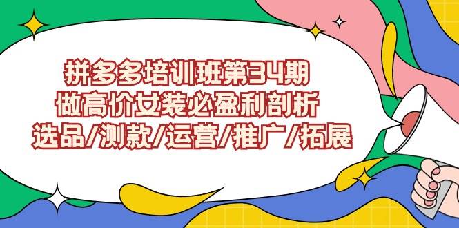 拼多多培训班第34期：做高价女装必盈利剖析  选品/测款/运营/推广/拓展-搜易资源网