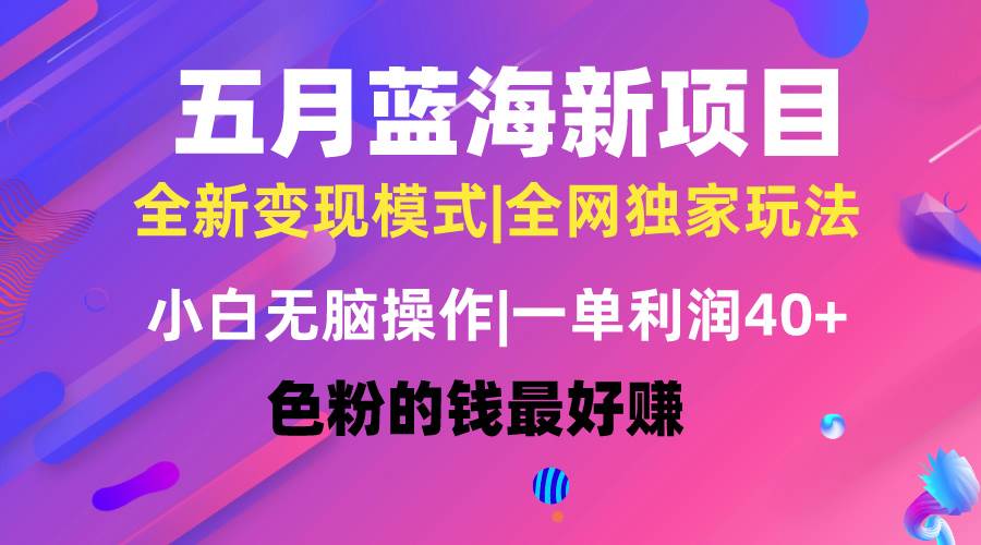 五月蓝海项目全新玩法，小白无脑操作，一天几分钟，矩阵操作，月入4万+-搜易资源网
