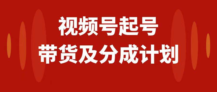 视频号快速起号，分成计划及带货，0-1起盘、运营、变现玩法，日入1000+-搜易资源网