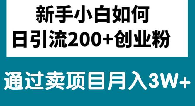 新手小白日引流200+创业粉,通过卖项目月入3W+-搜易资源网