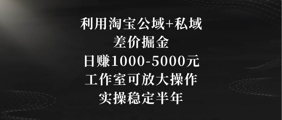 利用淘宝公域+私域差价掘金，日赚1000-5000元，工作室可放大操作，实操…-搜易资源网