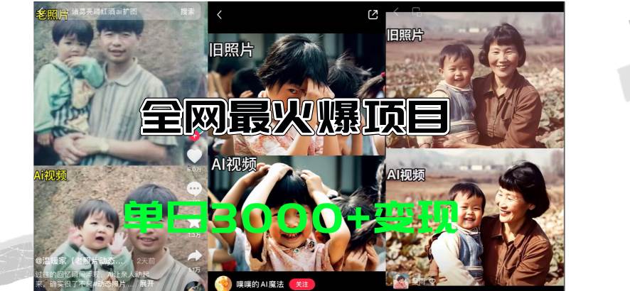 全网爆火的AI让老照片动起来教程，蹭热点日赚3000+，内含免费工具一键…-搜易资源网
