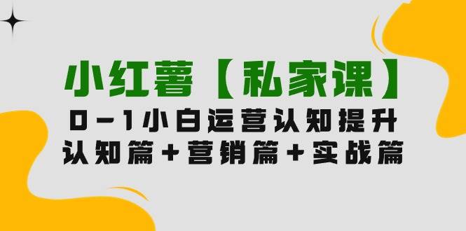 小红薯【私家课】0-1玩赚小红书内容营销，认知篇+营销篇+实战篇（11节课）-搜易资源网