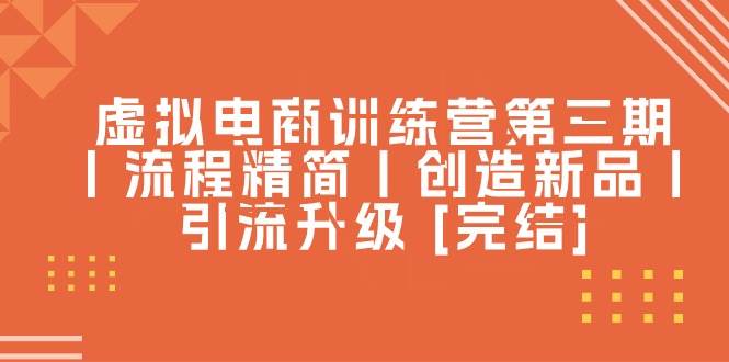虚拟电商训练营第三期丨流程精简丨创造新品丨引流升级 [完结]-搜易资源网