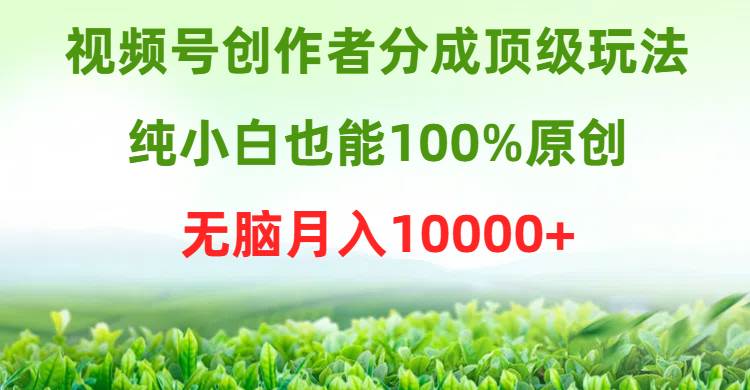 视频号创作者分成顶级玩法，纯小白也能100%原创，无脑月入10000+-搜易资源网