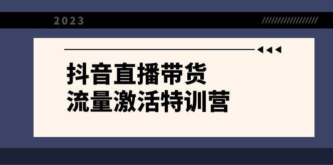 抖音直播带货-流量激活特训营，入行新手小白主播必学（21节课+资料）-搜易资源网