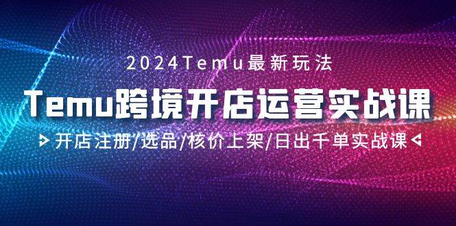 2024Temu跨境开店运营实战课，开店注册/选品/核价上架/日出千单实战课-搜易资源网