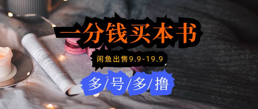每天花1分钱买一本书，闲鱼出售9.9-19.9不等，多账号多撸 新手小白均可操作-搜易资源网
