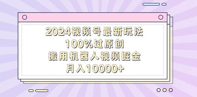 2024视频号最新玩法，100%过原创，搬用机器人视频掘金，月入10000+-搜易资源网