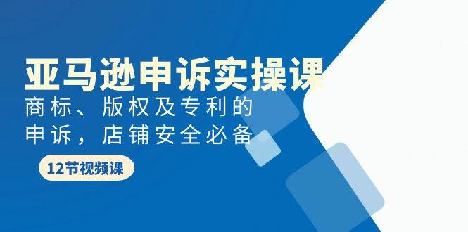 亚马逊-申诉实战课，商标、版权及专利的申诉，店铺安全必备-搜易资源网