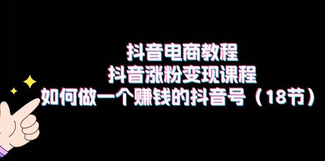 抖音电商教程：抖音涨粉变现课程：如何做一个赚钱的抖音号（18节）-搜易资源网