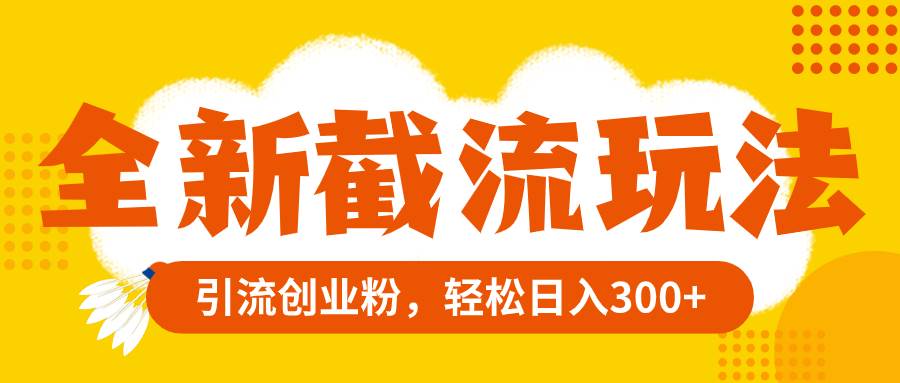 全新截流玩法，精准引流创业粉，轻松日入300+-搜易资源网