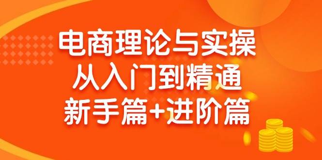电商理论与实操从入门到精通 新手篇+进阶篇-搜易资源网