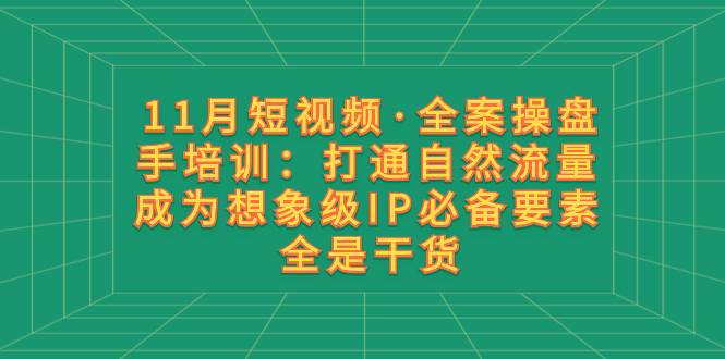 11月短视频·全案操盘手培训：打通自然流量 成为想象级IP必备要素 全是干货-搜易资源网