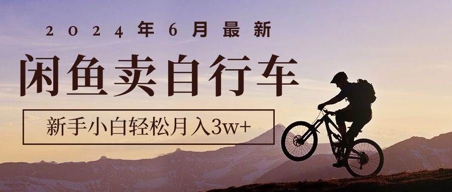 2024年6月最新闲鱼卖自行车，新手小白轻松月入3w+项目-搜易资源网
