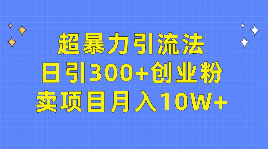 超暴力引流法，日引300+创业粉，卖项目月入10W+-搜易资源网