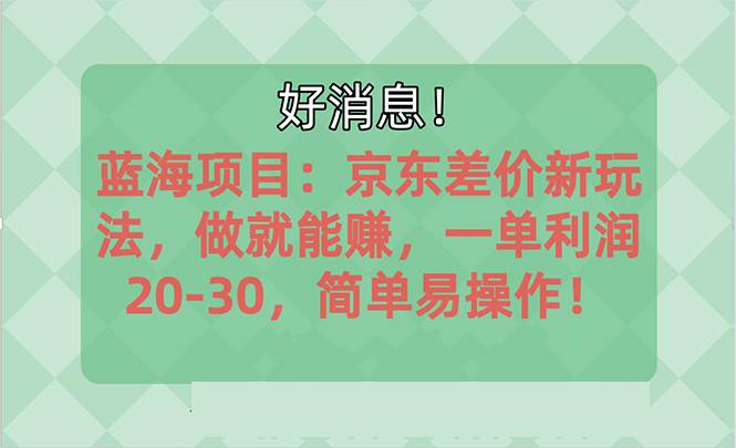 越早知道越能赚到钱的蓝海项目：京东大平台操作，一单利润20-30，简单…-搜易资源网