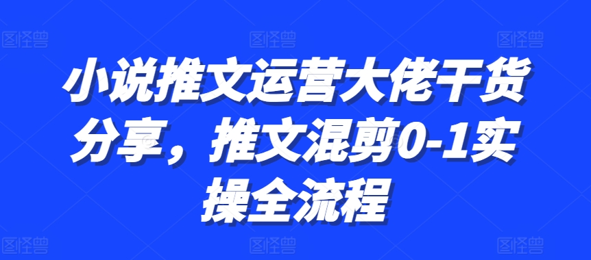 小说推文运营大佬干货分享，推文混剪0-1实操全流程-搜易资源网